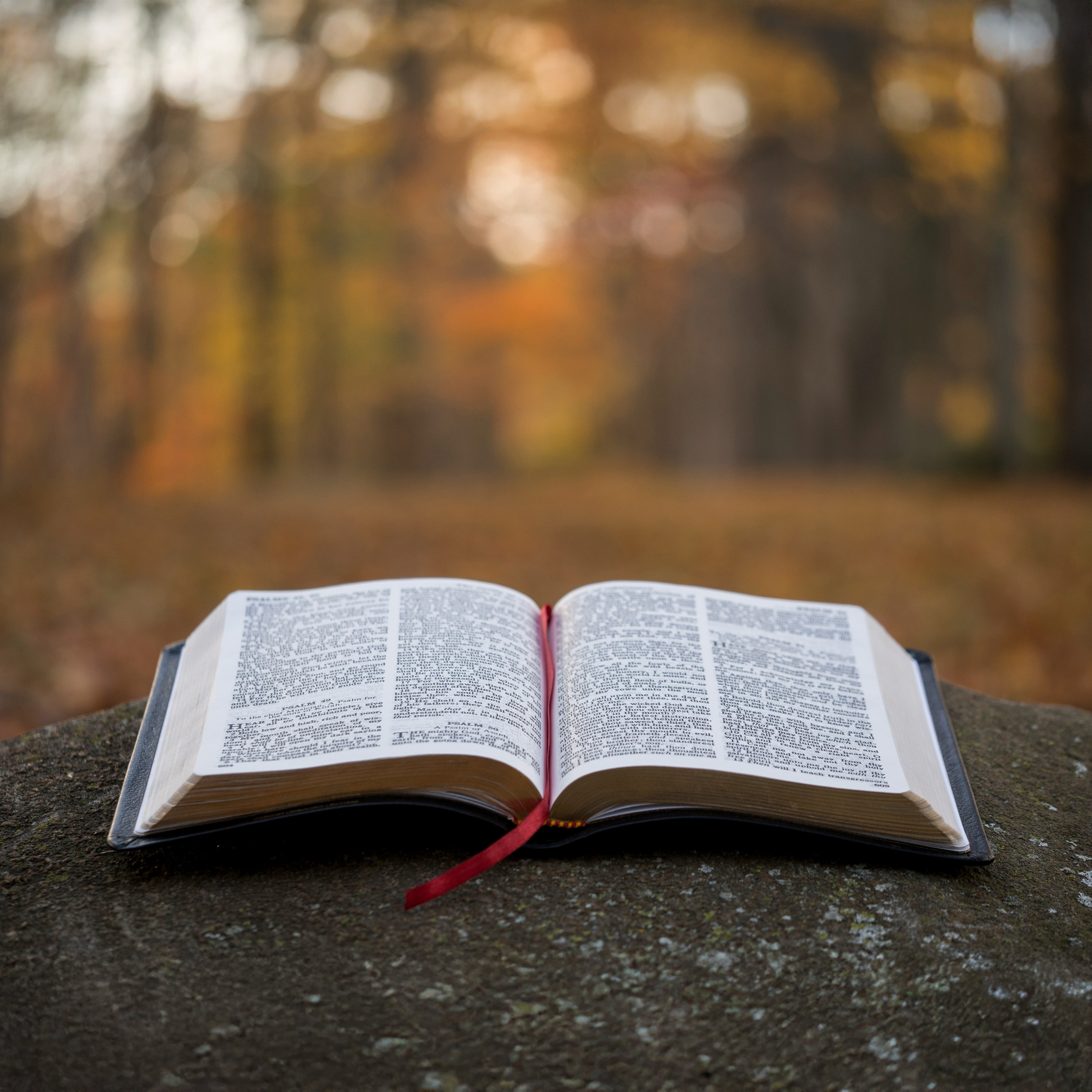 5 Reasons Why Reading the Bible Matters