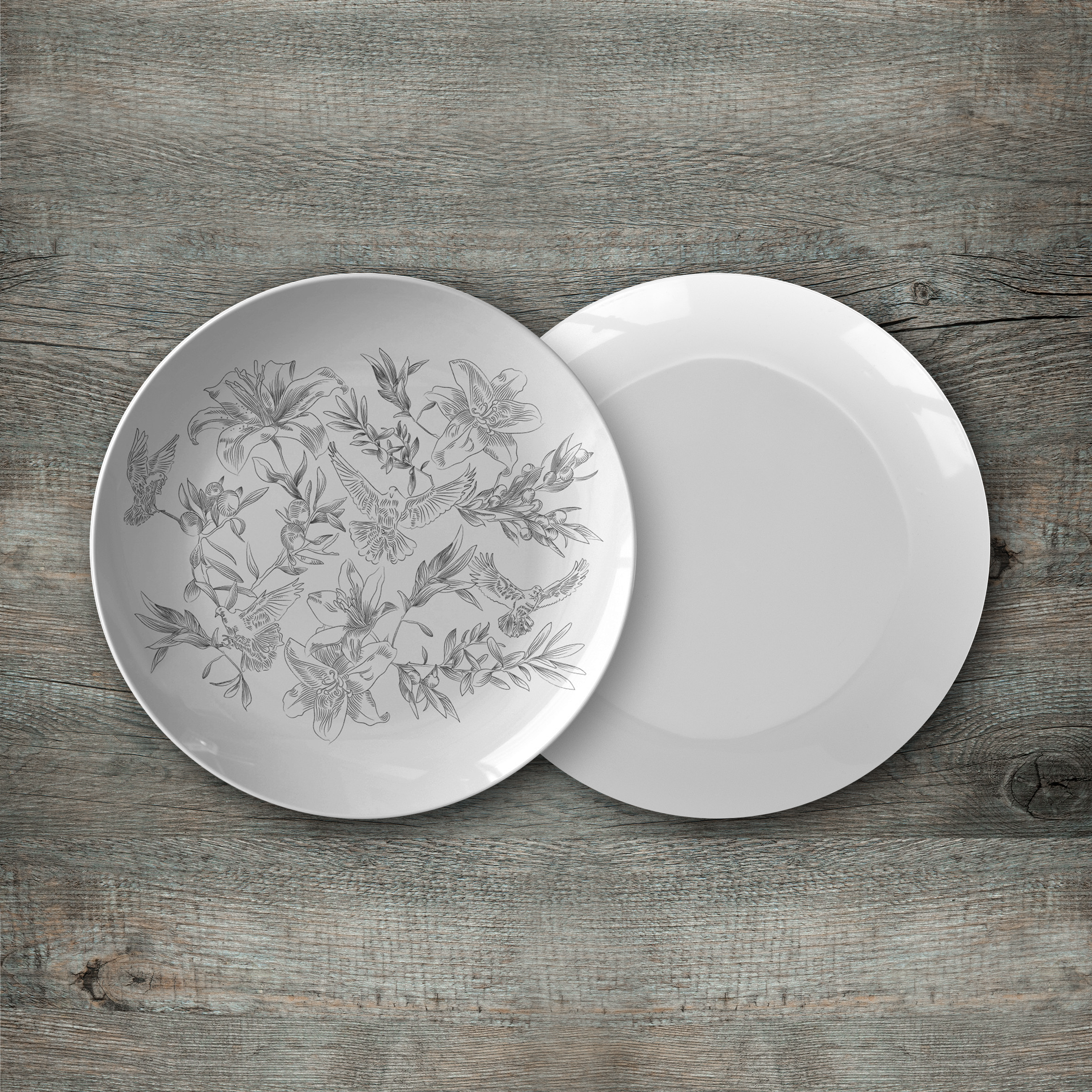 Rejoining Dove 10-Inch Dinner Plate(s)